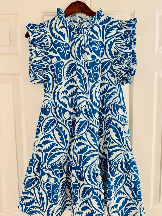 THML Dresses & Skirts - THML Blue & White Print Ruffle Sleeve Dress